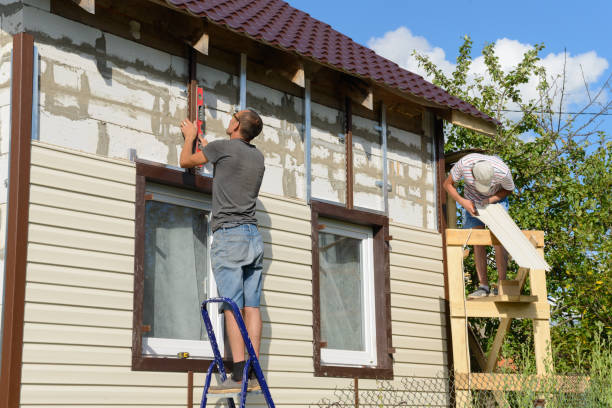 Shed Removal in Evergreen Park, IL